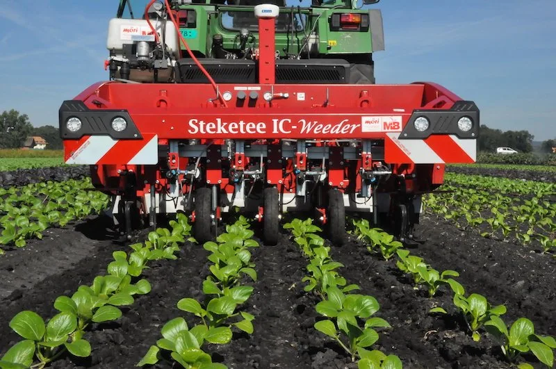 15571bf6e77b9f2c3180c7a0158f89c5a02372e6 Der Stecketee-IC-Weeder ist eigentlich ein Hackroboter. Er ist jedoch mit der Option Spritzanlage für pflanzenspezifische Spritzung nachrüstbar. Das Gerät funktioniert in Reihenkulturen, die gepflanzt sind. (Bilder Agroscope)