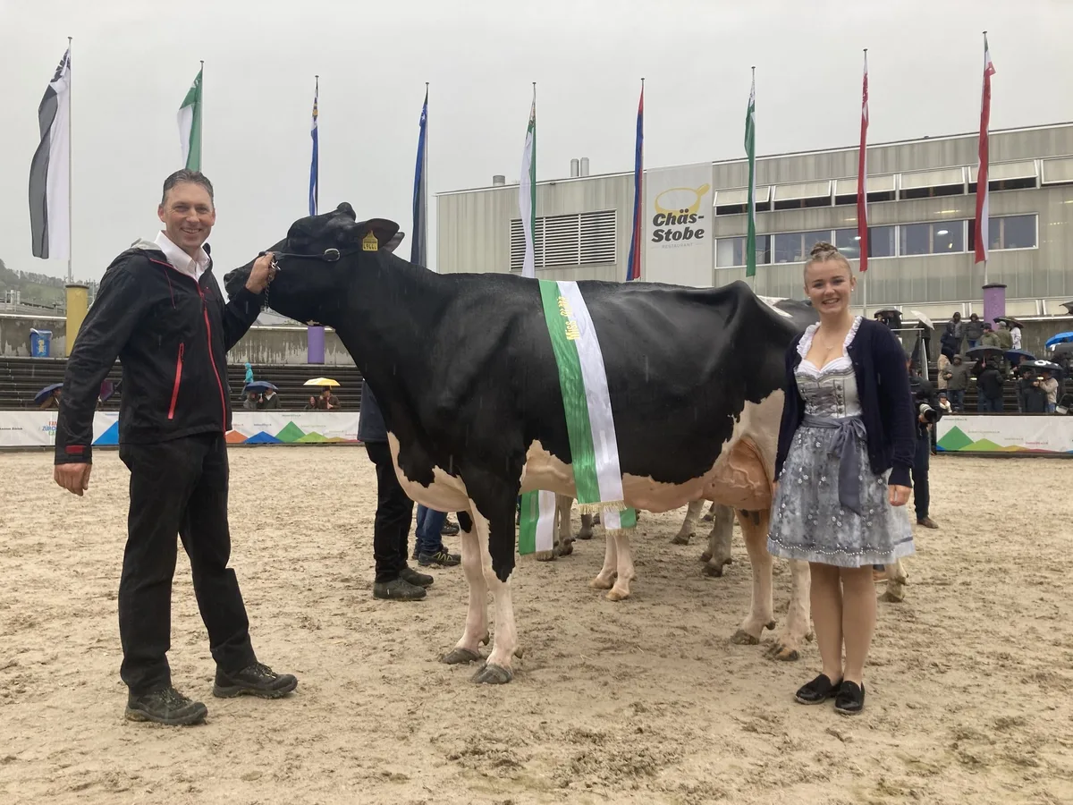 Holstein_Kuh Die schönsten Kühe heissen: Aileen, Frosinone, Alaska, Viola und Palmira