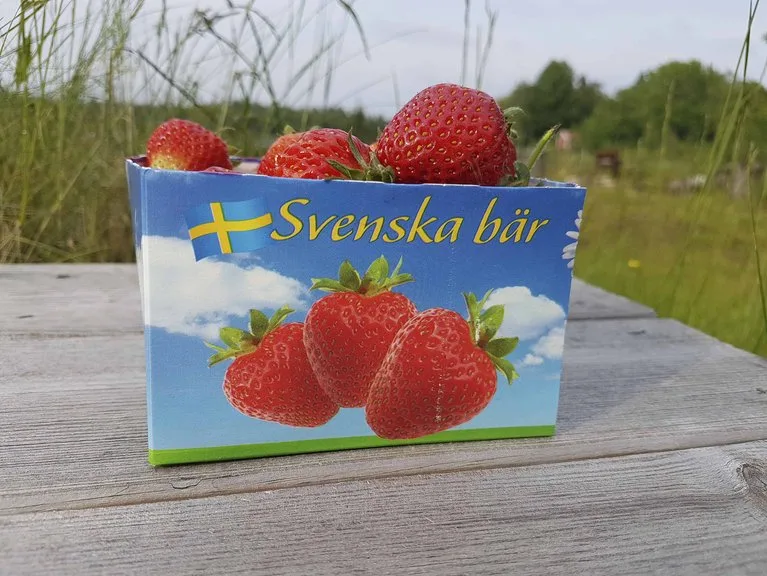 1f368d7fd3b5cbdadc56a8af67f0b8acc3f2932f Für inländische Erdbeeren greifen die Schweden gerne tiefer ins Portemonnaie. (Bild lid / ji)