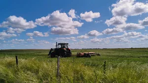 Nach anfänglichen Schwierigkeiten mäht Egon Tschol nun mit Vergnügen Luzerne, auch Alfalfa genannt, für argentinische Pferdehalter. Mit der kleinen Mähbreite ist er ein Exot in seinem Gebiet.