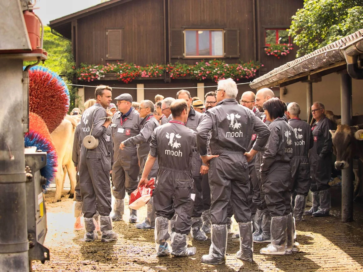 Mooh feiert sein 5-jähriges Jubiläum - eine Zwischenbilanz