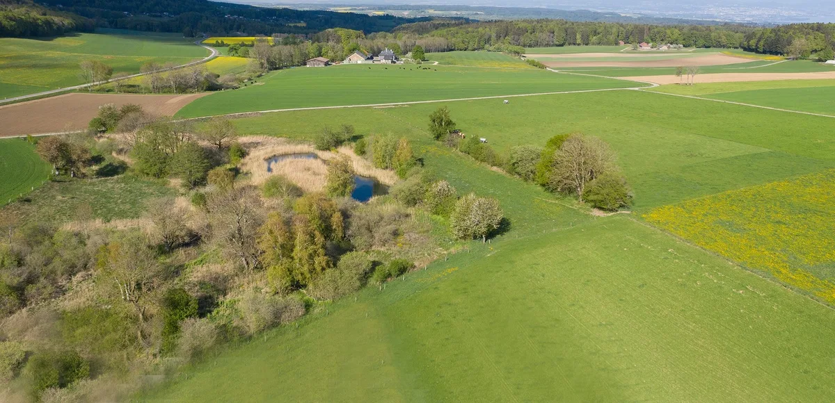 risikoindikatoren-afos-web-2000×967 So will Agroscope das Risiko durch Pflanzenschutzmittel berechnen