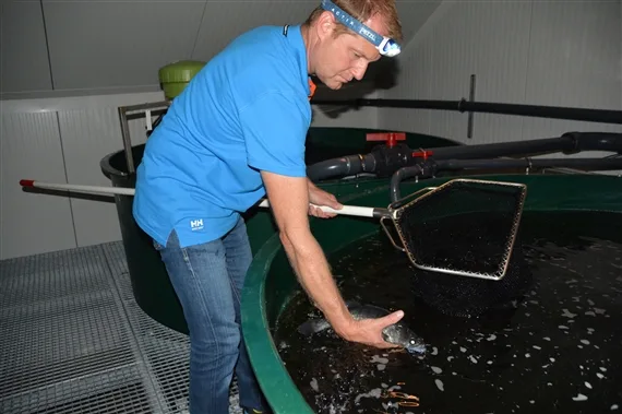 Christian Steiger aus Büron hält Zander. (Bilder Josef Scherer)