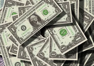 Im vergangenen Jahr hatte die US-Regierung bereits ein ähnliches Paket für Landwirte im Umfang von 12 Milliarden Dollar auf den Weg gebracht. (Bild Pixabay)