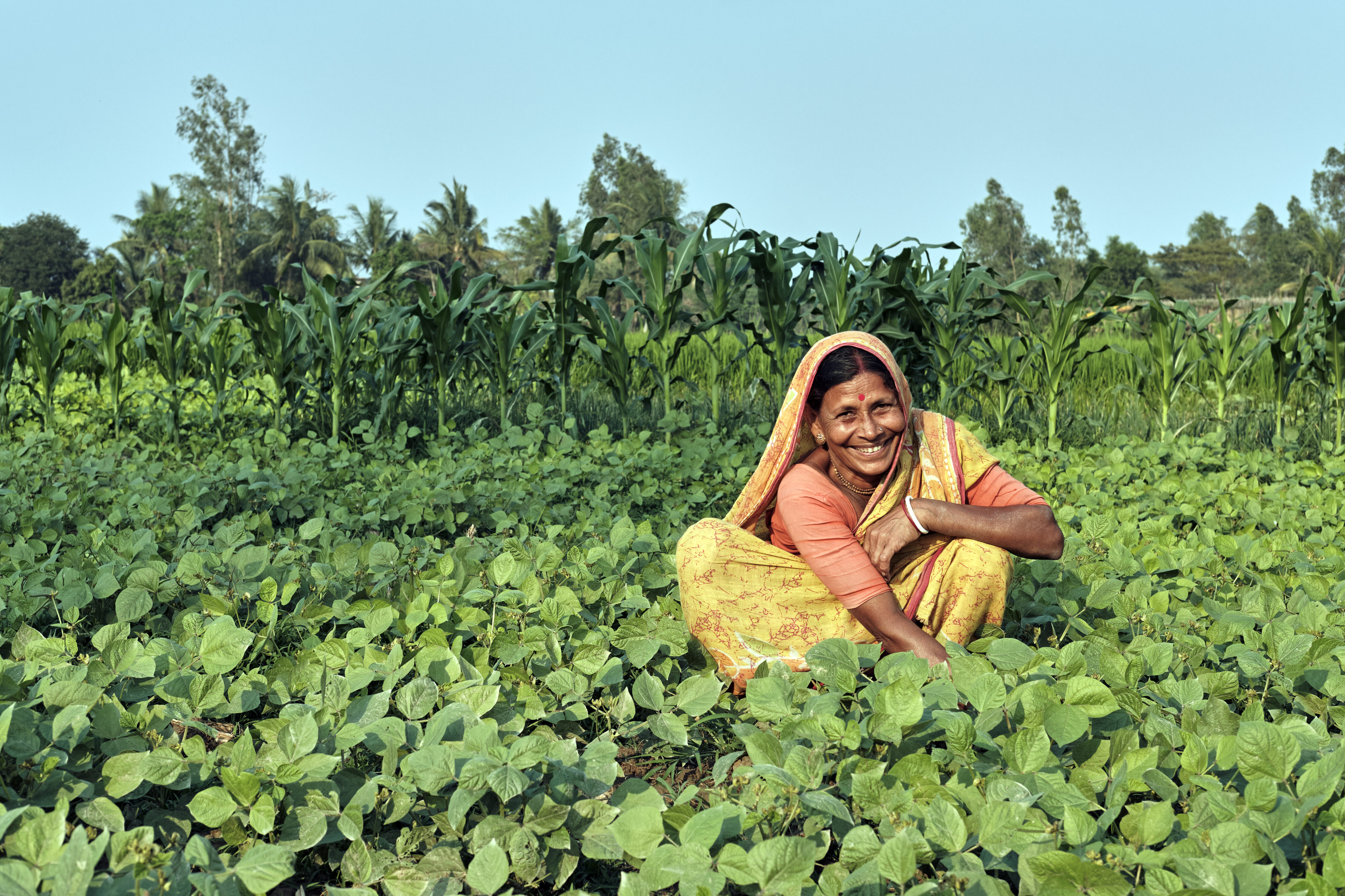 Der Beitritt zu einer Genossenschaft, die sich für die Stärkung von Bäuerinnen einsetzt, hat das Leben von Sitarani Gayan, einer Bäuerin aus Westbengalen, Indien, verändert