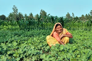 Der Beitritt zu einer Genossenschaft, die sich für die Stärkung von Bäuerinnen einsetzt, hat das Leben von Sitarani Gayan, einer Bäuerin aus Westbengalen, Indien, verändert