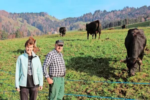 Ursi und Ueli Hüppi aus Rüeterswil und ihre Eringer-Kühe. 2007 fingen sie an, ihre Herde aufzubauen, mittlerweile halten sie 35 Tiere von dieser Rasse.