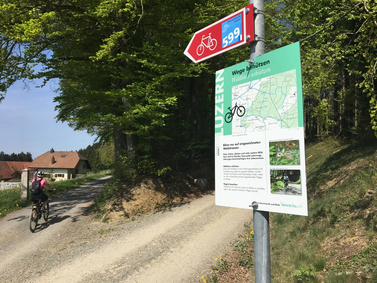 Biken_Wald_Signale Forderung: Waldbesitzer sollen fürs Biken entschädigt werden
