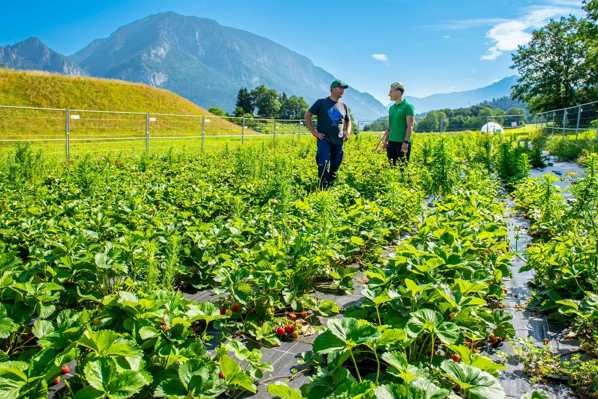 Schritt für Schritt zu Bio: Nutzen Sie jetzt unseren kostenlosen Bio-Betriebs-Check!