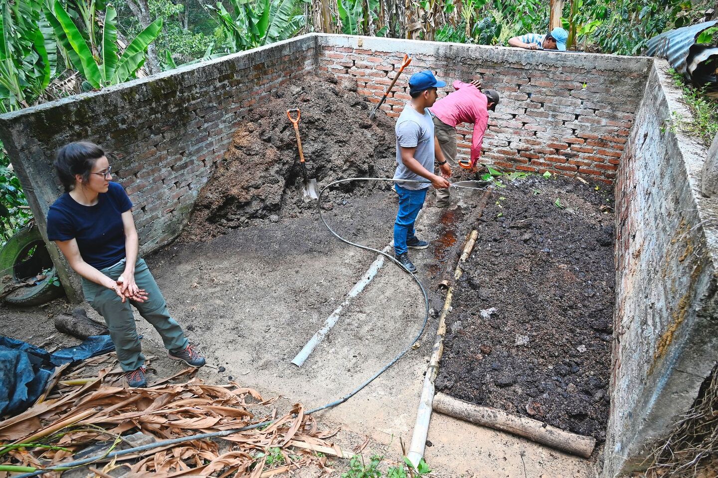 Im Feldversuch in Nicaragua arbeiten ProduzentInnen und HAFL-Forschende zusammen.