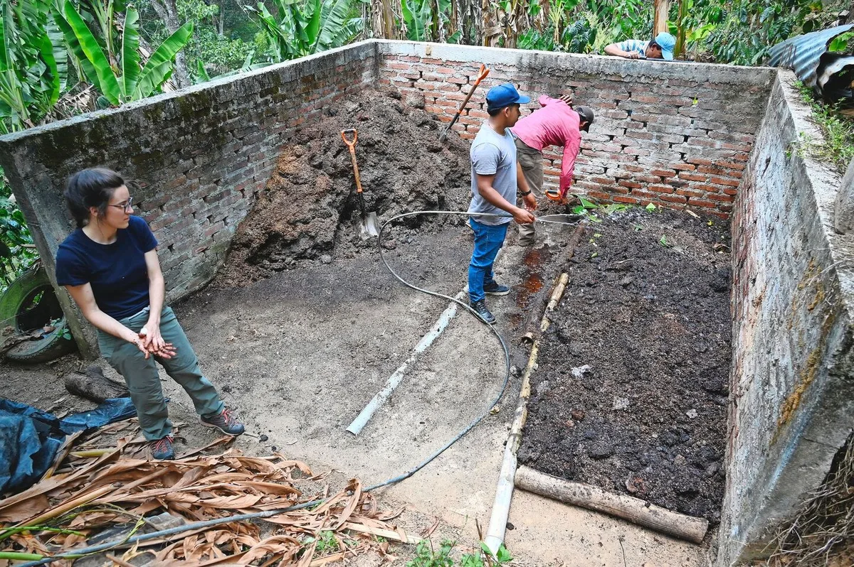 Im Feldversuch in Nicaragua arbeiten ProduzentInnen und HAFL-Forschende zusammen.