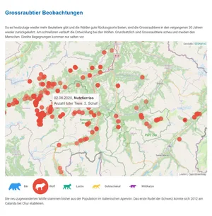 Auf einer neuen Webseite des AJF ist eine Karte publiziert, auf welcher sämtliche Grossraubtierbeobachtungen nach Tierart und mit den jeweiligen Daten sichtbar sind. (Bild AJF)