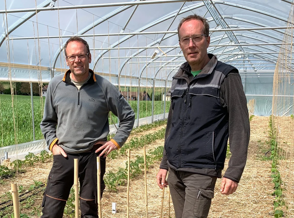 048f265e8979f3d0202eada3f9b2922bdcbe204b Markus (l.) und Jürg Weber betreiben ihren Hof nach den Prinzipien der Regenerativen Landwirtschaft. (Bilder Ruth Bossert)
