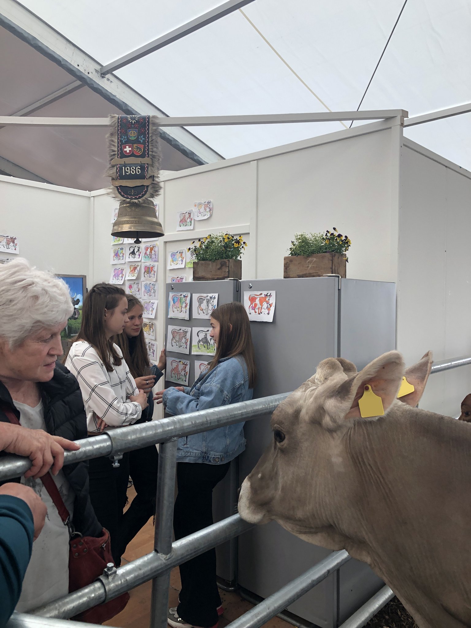 Der STS stellt tierschutzwidrige Haltungsformen an Ausstellungen fest