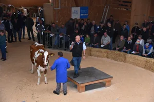 Sie löste den Spitzenpreis von 4400 Franken: Kohler Leandro Vreni von Hansulrich Kohler aus Häusernmoos BE.