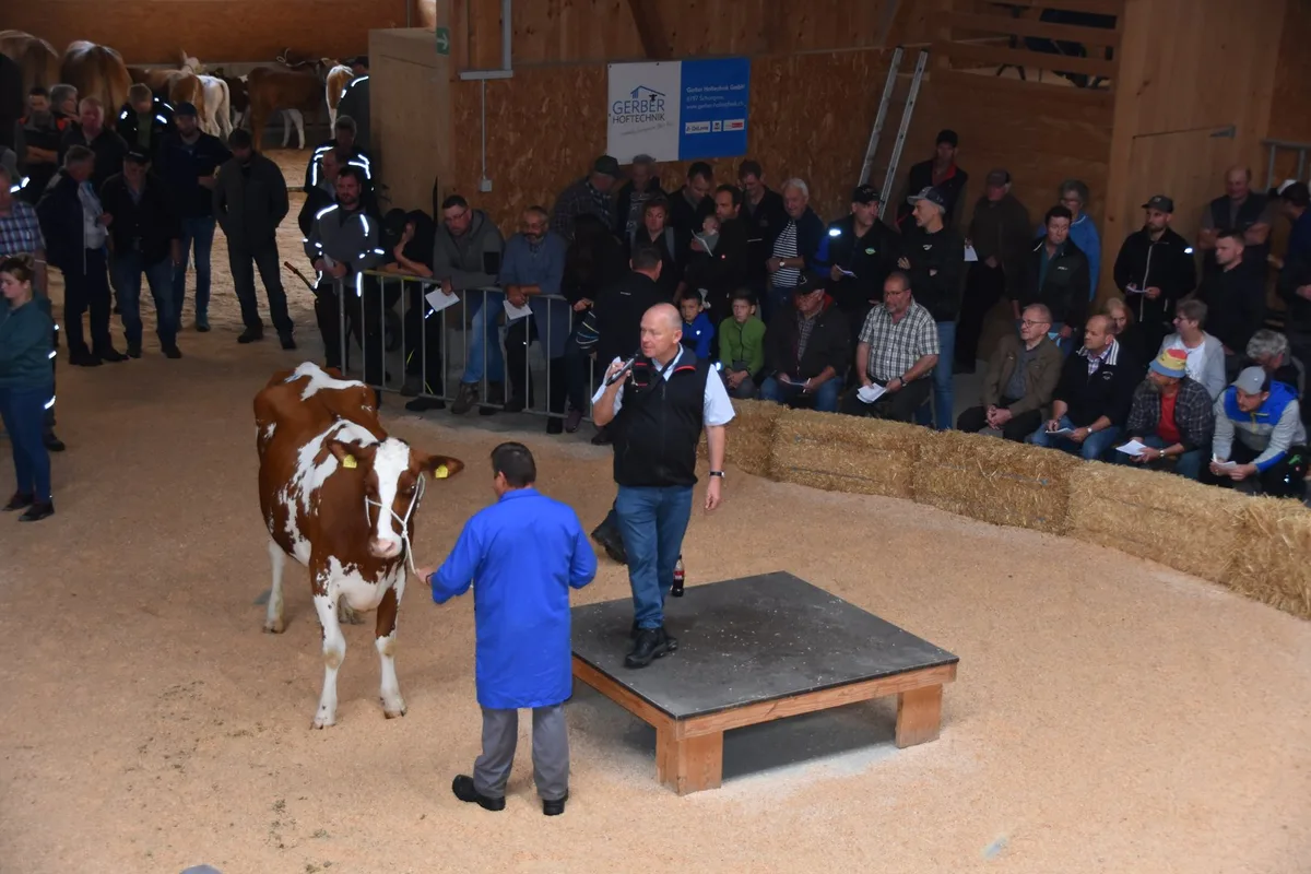 schuepDSC_0015 Gedrückte Preise an der Auktion Schüpbach: 4400 Franken galt Kohler Leandro Vreni
