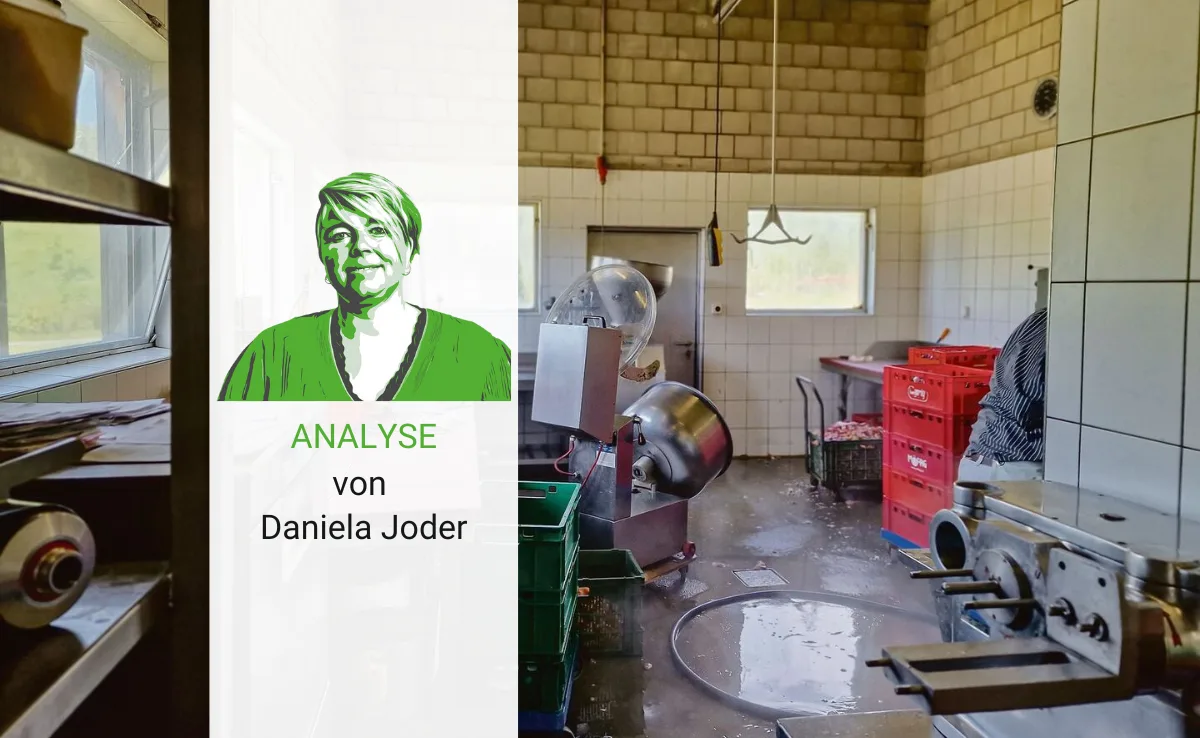 Artikel_Analyse_BauZ_Joder Weil Schlachtkapazität fehlt, müssen Tiere entsorgt werden