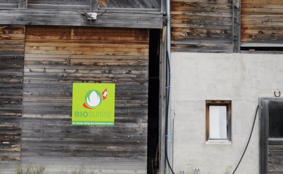 Knospe-Tafeln gibt es aktuell zum Aktionspreis