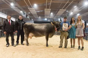 Die beiden Richter Jon Paul Thom und Stefan Hodel sowie die Ehrendamen umrahmen «Miss Milchkuh» Dinmark Tamara von Heinz Gantenbein. (Bild zVg)