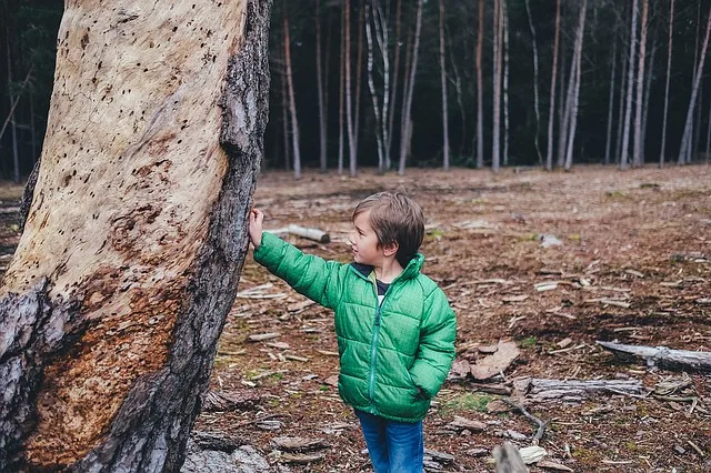 79541292274da885026b02ca48860dd25cf0927f Die Erlebnisse im Wald haben eine bleibende Wirkung bei den Kindern und tragen zur Bildung bei. (Bild pixabay)