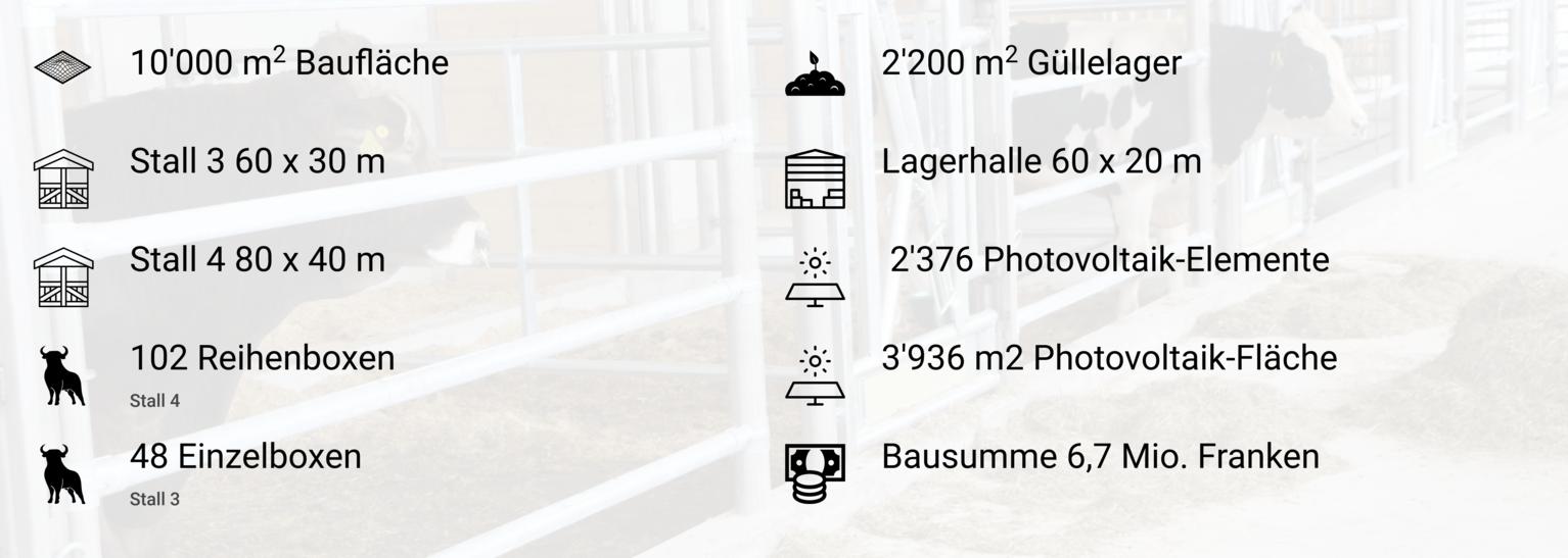 Hinzu kommen 16 Einzelboxen im weiterhin betriebenen Stall 2. (Bild zVg)