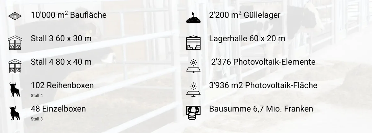 678fad082b94c9336edf2ba82841aef3b3073335 Hinzu kommen 16 Einzelboxen im weiterhin betriebenen Stall 2. (Bild zVg)