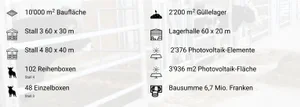 Hinzu kommen 16 Einzelboxen im weiterhin betriebenen Stall 2. (Bild zVg)