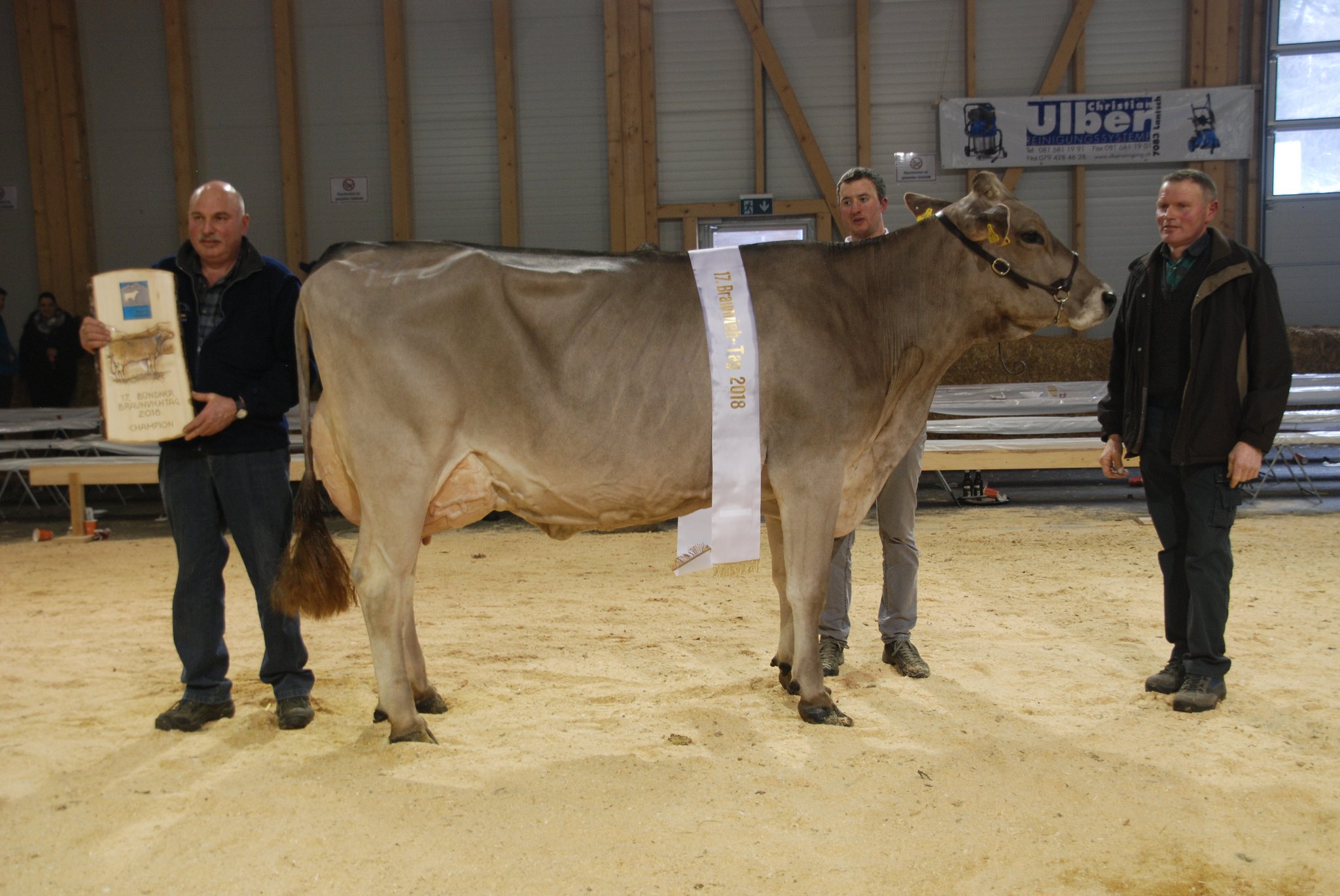 Die Bündner Braunvieh-Champion 2018: Glenner Mimosa mit Christian Lötscher, Vorführer Thomas Kunfermann und Hansjürg Lötscher (v.l.n.r.). (Bilder Vrena Crameri Daeppen)