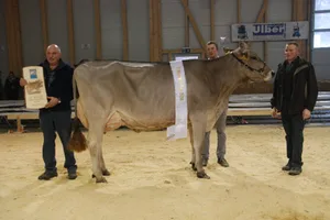 Die Bündner Braunvieh-Champion 2018: Glenner Mimosa mit Christian Lötscher, Vorführer Thomas Kunfermann und Hansjürg Lötscher (v.l.n.r.). (Bilder Vrena Crameri Daeppen)