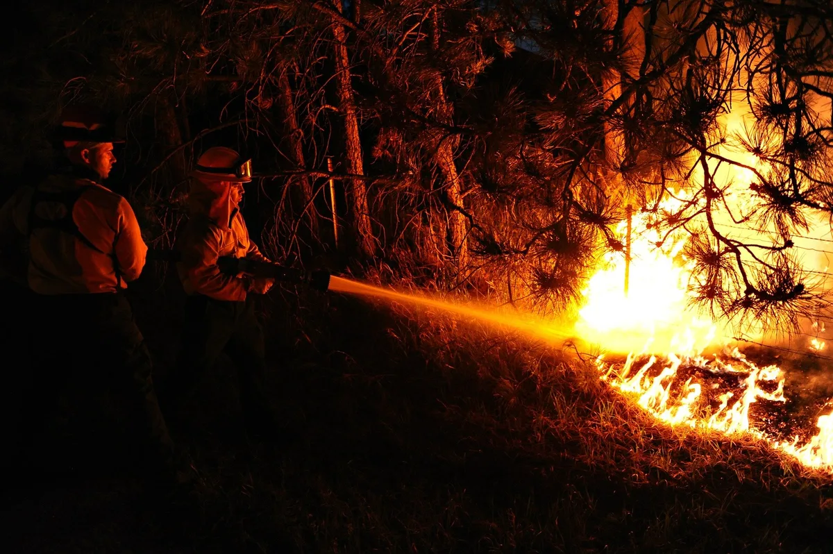 2ded0f2a6e4d7c793366645a9cc9bf9bb3cc1744 Im Tessin wütet seit einer Woche ein Waldbrand. (Bild skeeze/pixabay)