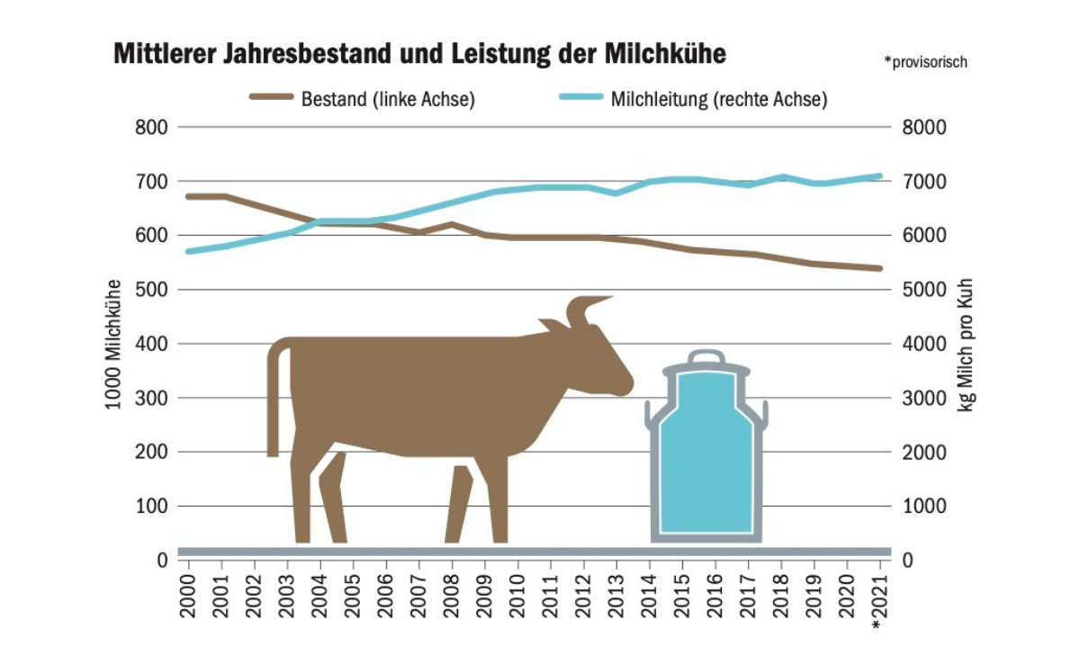 Es gibt immer weniger Kühe, aber sie haben eine immer grössere Leistung