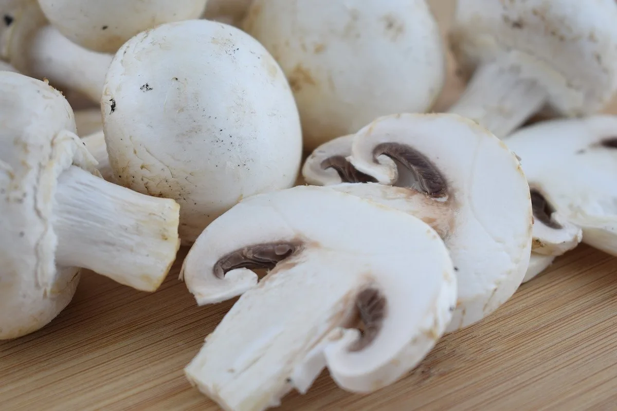 a74e6398518014af629fa27526afe1c542533cc5 Champignons sind reich an Vitamin B2/Riboflavin, Vitamin B5/Pantothensäure und Vitamin D. (Bild pixabay)