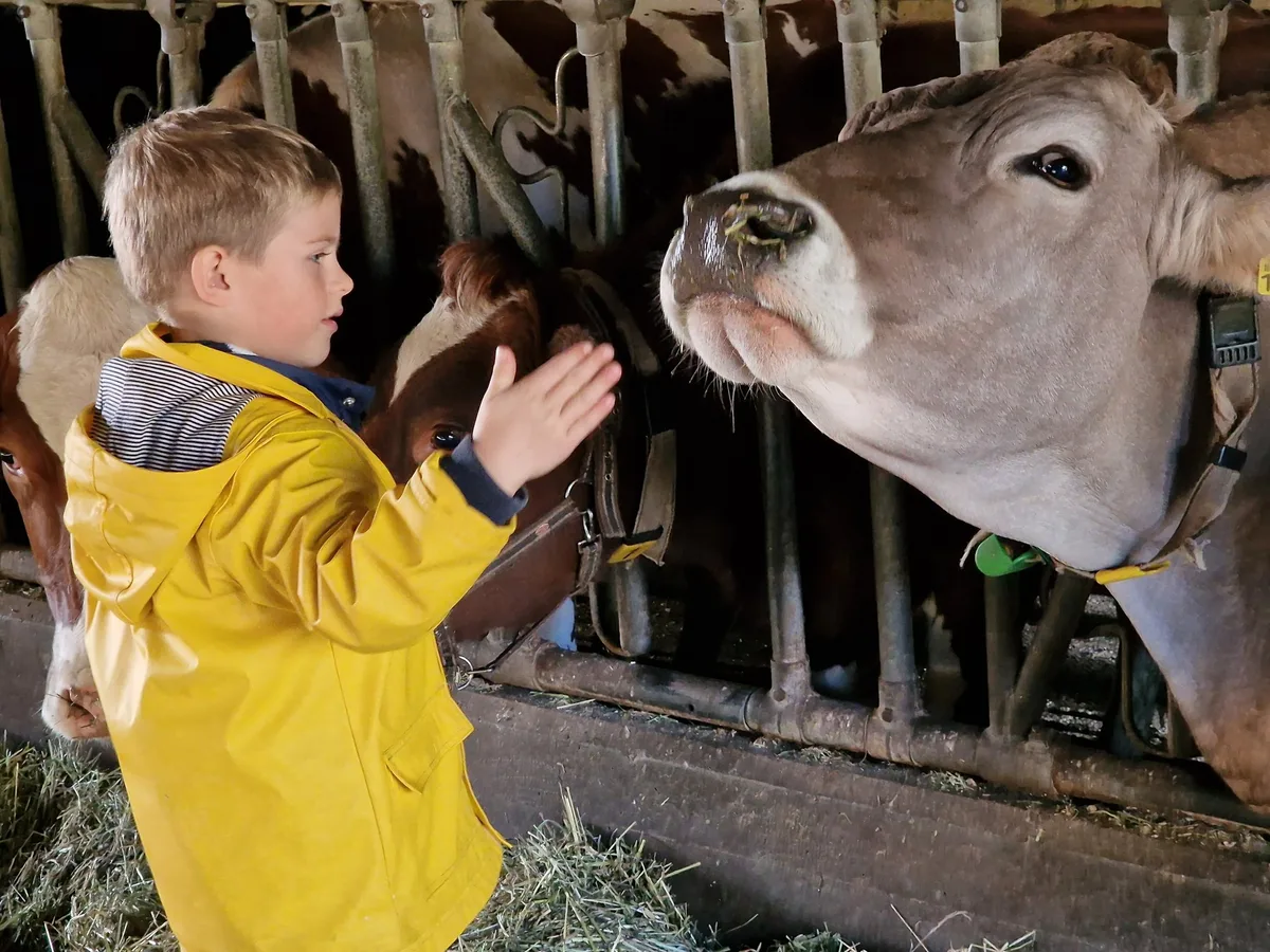 Der Landwirtschaft ein Gesicht geben
