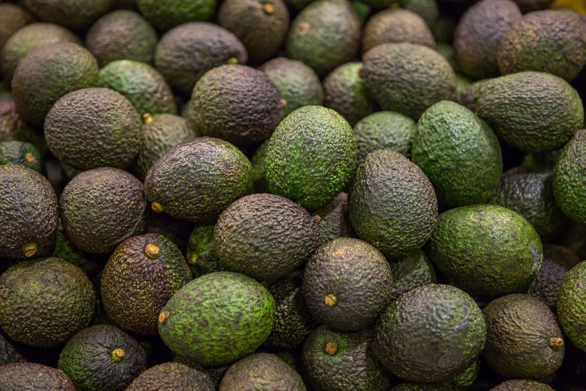 eaa29d6b714e46d8ddc660ac18e95c2abb34258f Die Avocado wird direkt beim Zulieferer mit der geschmacklosen Fett-Schicht überzogen. (Bild Migros)