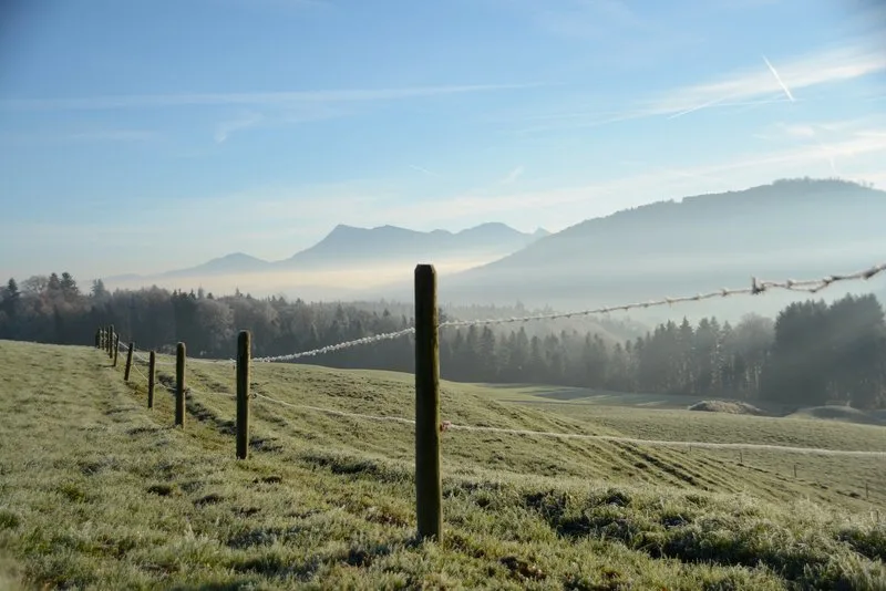 746ca6cf9749205d3e6f5cc958ef8aac4d56e455 Der Morgen brachte mit der Sonne wieder etwas Wärme, die starke Bise macht es aber derzeit ungemütlich draussen. (Symbolbild BauZ)