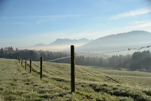 Der Morgen brachte mit der Sonne wieder etwas Wärme, die starke Bise macht es aber derzeit ungemütlich draussen. (Symbolbild BauZ)