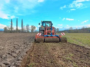 Die linke Seite der Parzelle wird im Pflugverfahren und die rechte im Mulchsaat-Verfahren angebaut. Der rechte Teil wurde direkt nur mit Zinkenrotor und Walze bearbeitet.