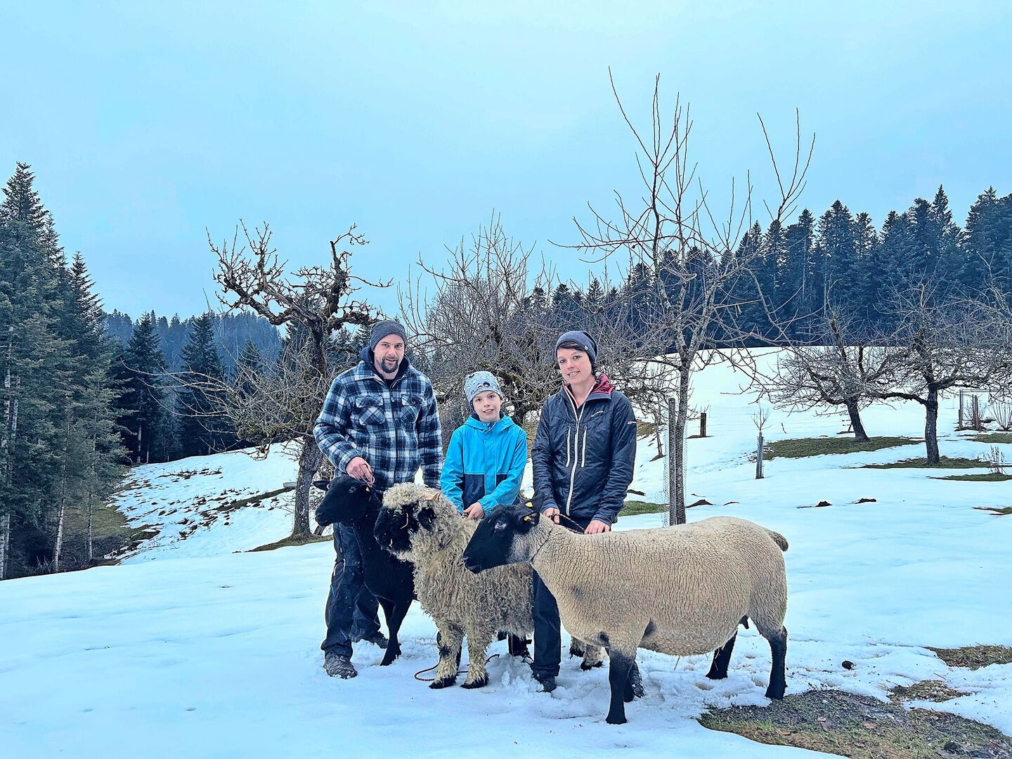 Gemischte Herde - eine Rasse für jedes Familienmitglied