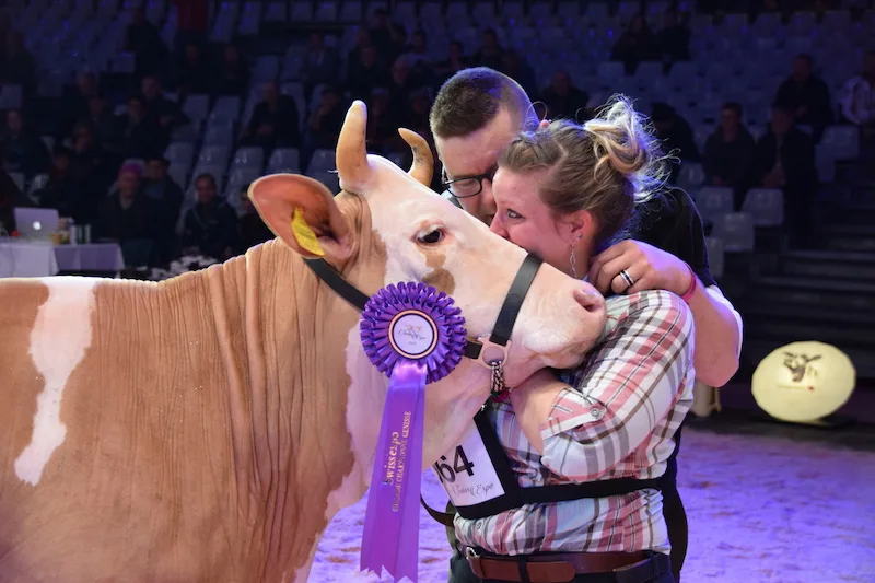 8022ec7ab02aa88e14f45da8cbe35a2ad2932090 Freudentränen beim Sieg des Simmentaler Rindes Lorado Evolene von Laura und Christian Wüthrich, Court BE. (Bilder pf)