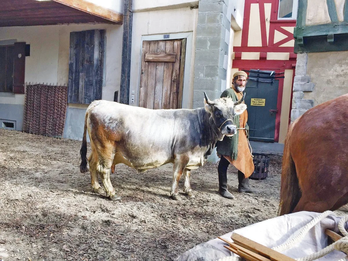 85469aa1f9c04a8cbe26918d8ddd20fc63039456 Auch am Filmset des Kinohits «Zwingli» stellte Greina ihr liebes und geduldiges Wesen unter Beweis. (Bild Susanne Knaus)