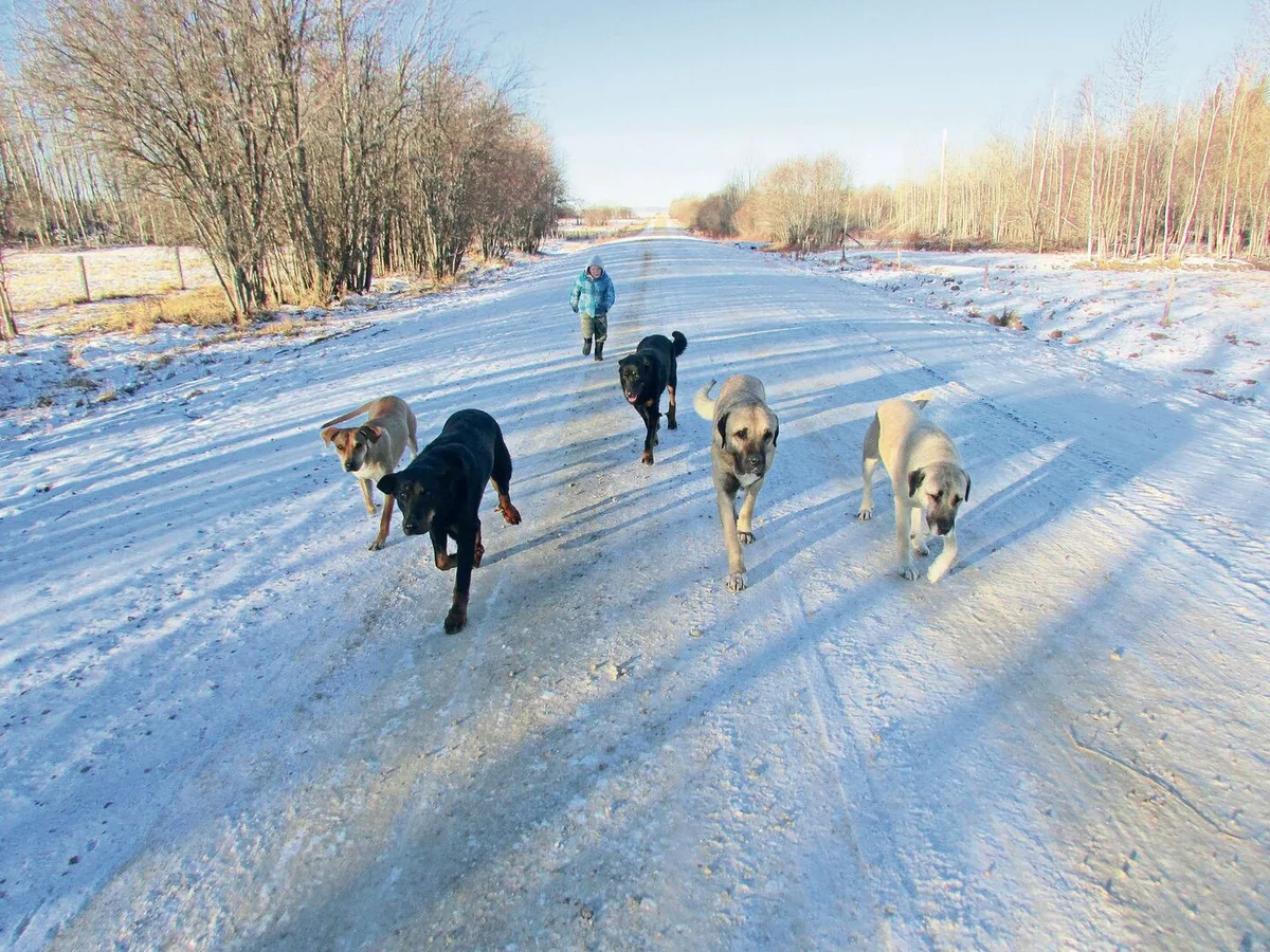 cad963dcbd98a33386b352b3fd8fd60d80f4bc530f3bd167b450cad5edf34a03 Alexandra Ruckstuhl ist auf den (richtigen) Hund gekommen