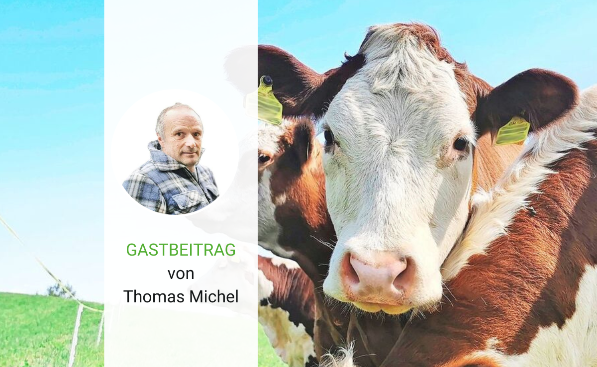 Der Unterschied zwischen Theorie und Praxis