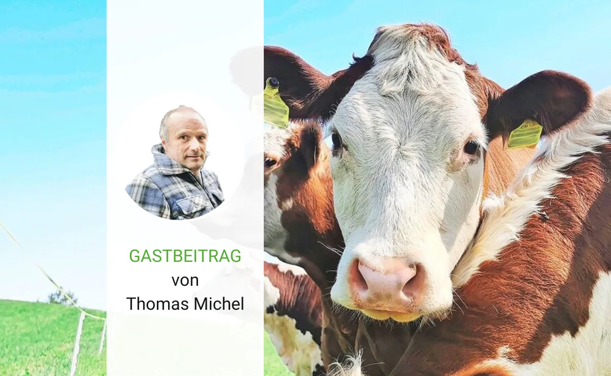 Artikel_Gastbeitrag_BauZ_MichelWeide2 Der Unterschied zwischen Theorie und Praxis