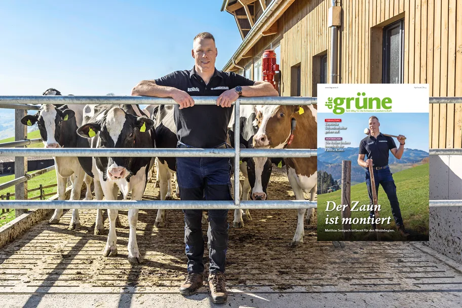 «die grüne» im April 2026 – Der Zaun ist montiert