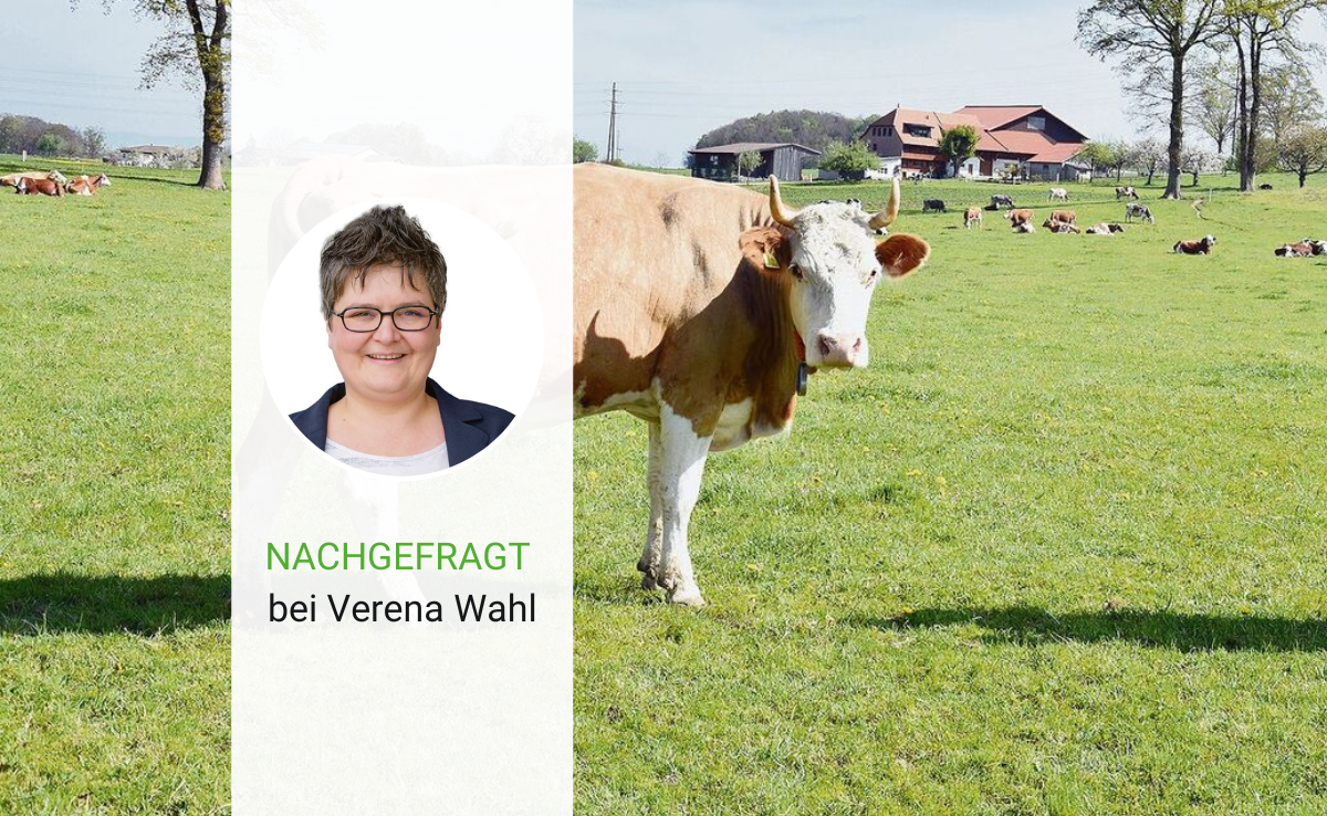 «Ein besonders wichtiger Grundsatz ist für uns, dass die Tiere unversehrt bleiben und ihre Hörner behalten»