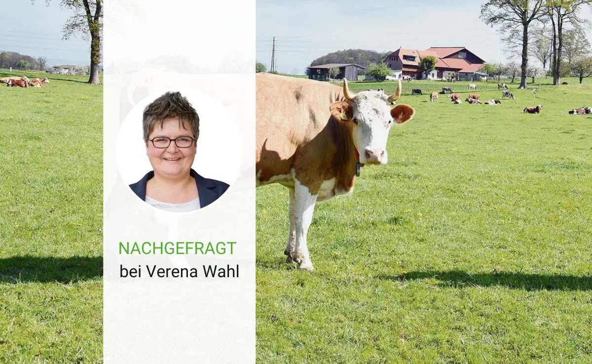 «Ein besonders wichtiger Grundsatz ist für uns, dass die Tiere unversehrt bleiben und ihre Hörner behalten»