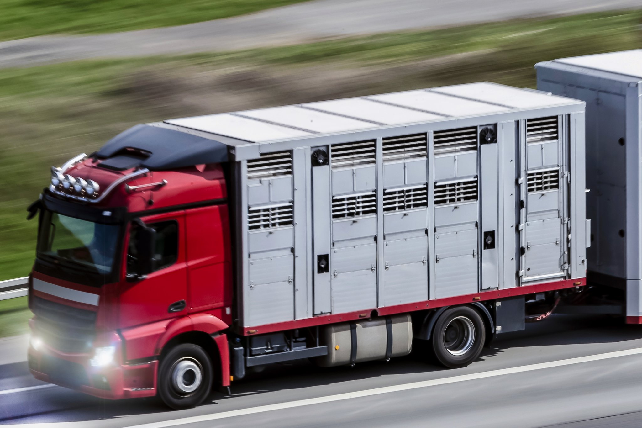 Mehrstöckiger Lastwagen für Tiertransporte auf der Autobahn.