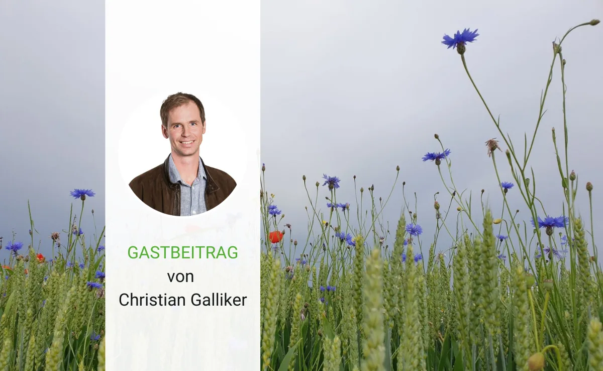 Biodiversität: Verfluchen oder anpacken?