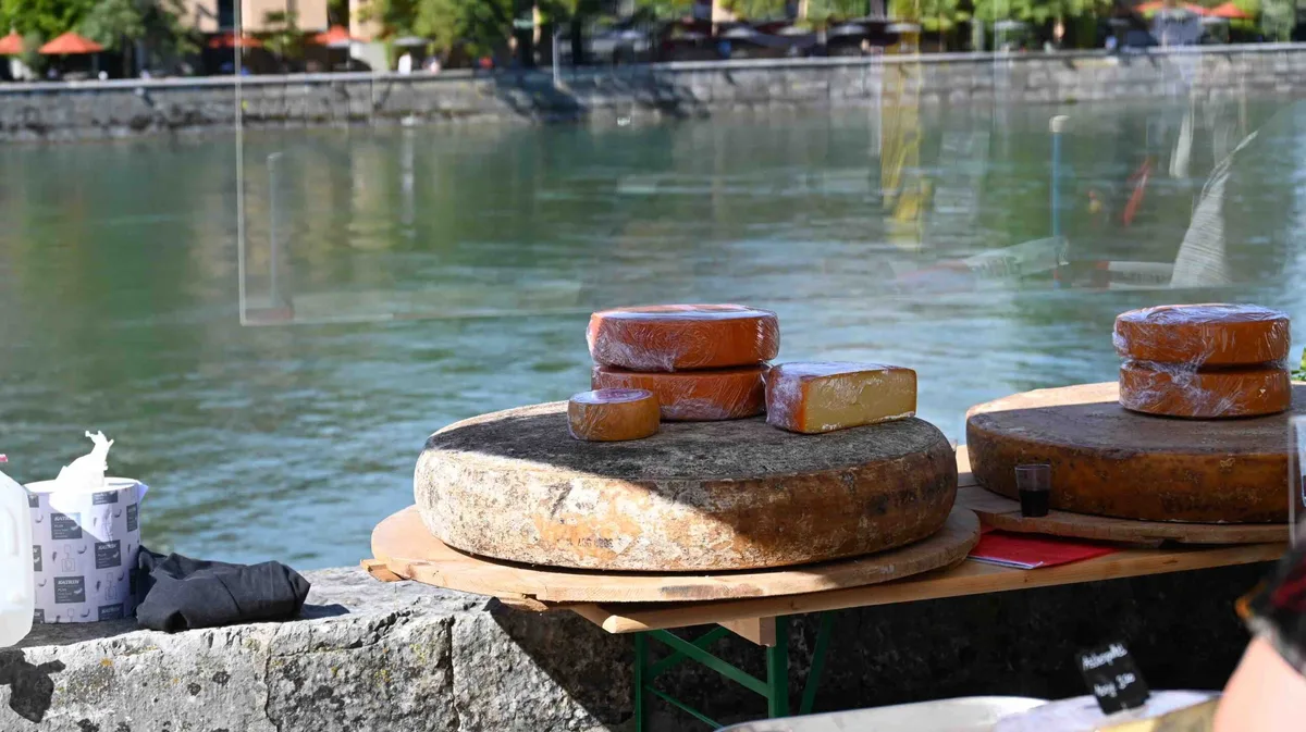 cea472fe3c1696efaef48424ebb869908667b554 Solothurn bietet mit der Aare ein besonderes Ambiente für den Chästag. (Bilder BauZ/Andrea Wyss)