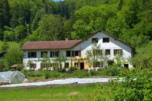Die gelbe Sonne ziert nicht nur die Fassade des Hofs, sondern findet sich auch im Inneren des Gebäudes wieder. (Bild jsc)